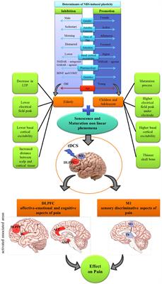 Age as a Mediator of tDCS Effects on Pain: An Integrative Systematic Review and Meta-Analysis